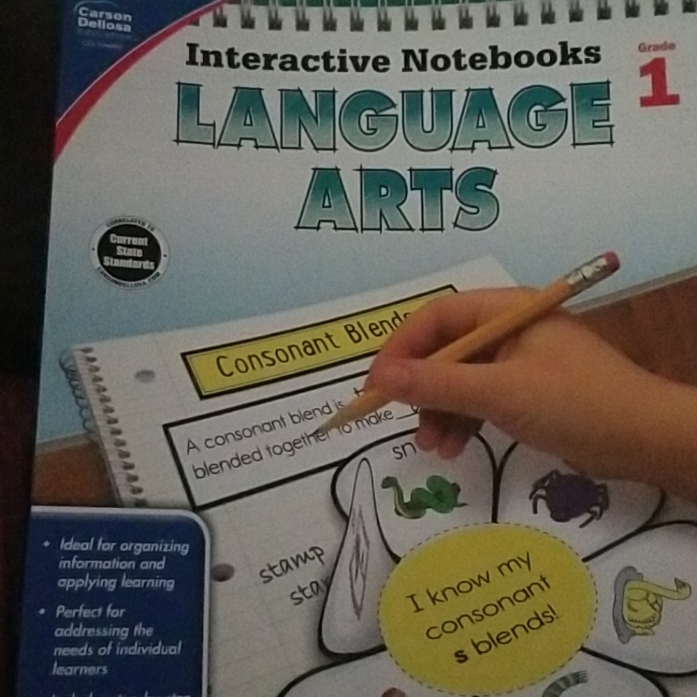 🔥Language Arts Phonics Interactive Notebook🔥